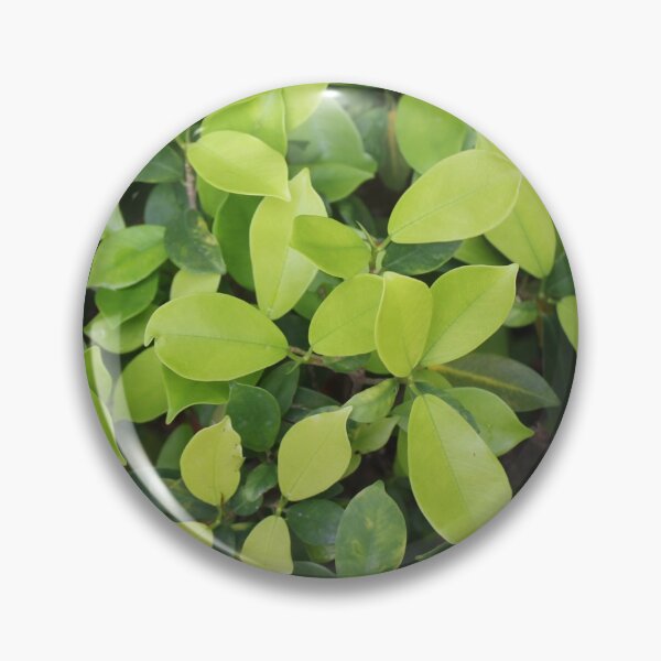 Item preview, Hedge of Green Shaded Leaves designed and sold by Sinemathk.
