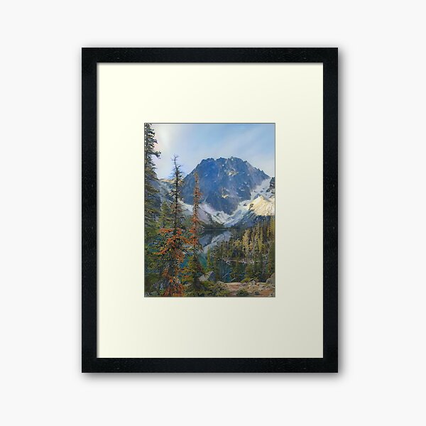 Dragontail Framed Art Print