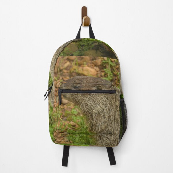 Item preview, woodchuck peaking out of its den designed and sold by aim4adventure.