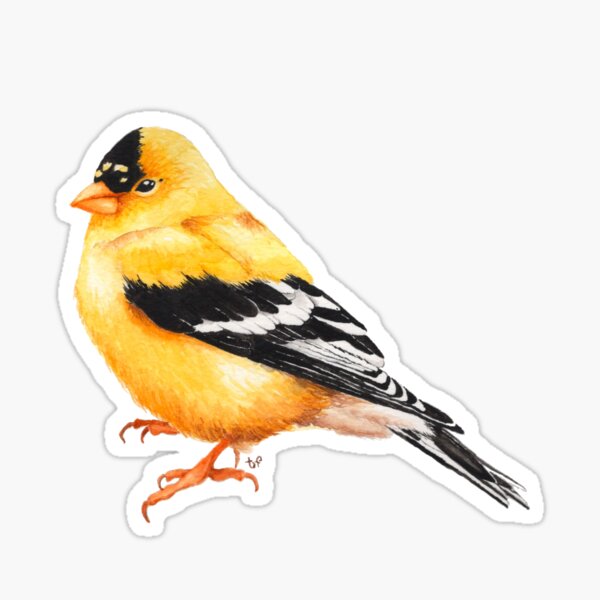 Goldfinch  Sticker