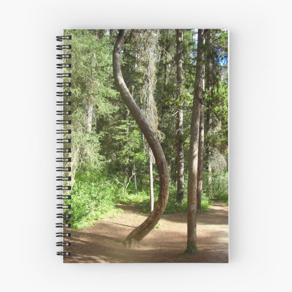 Item preview, curved tree designed and sold by countrypines.