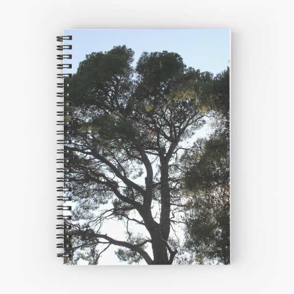 Item preview, 0079701 - the shadow of a tree designed and sold by Costas Aggelakis.