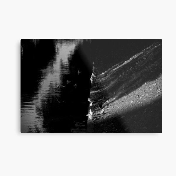 SB 001 Metal Print