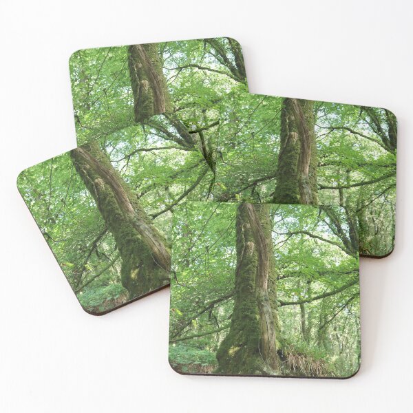 Item preview, An Ancient Tree in Green designed and sold by Michaela Perryman.