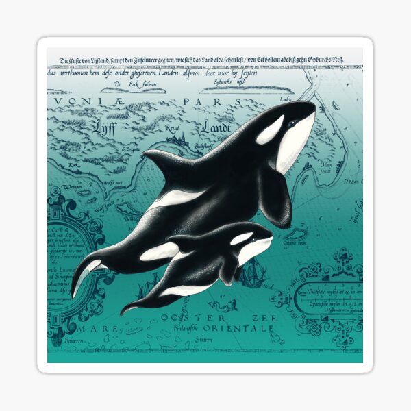 Orca Whales Love Family Yellow Sun Ink Sticker