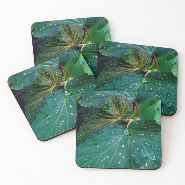 Item preview, ornamental plants designed and sold by likbatonboot.
