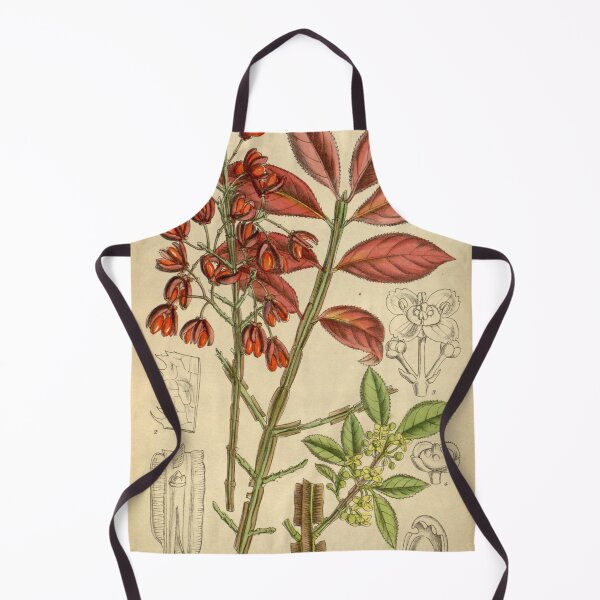 Item preview, Euonymus alatus 145 8823 designed and sold by EsotericBotanic.