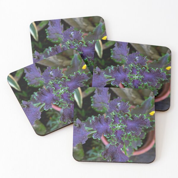 Item preview, Philippine ornamental plant designed and sold by likbatonboot.