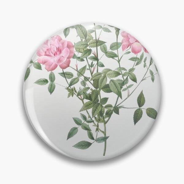 Item preview, Les Roses by Pierre-Joseph Redouté designed and sold by EsotericBotanic.