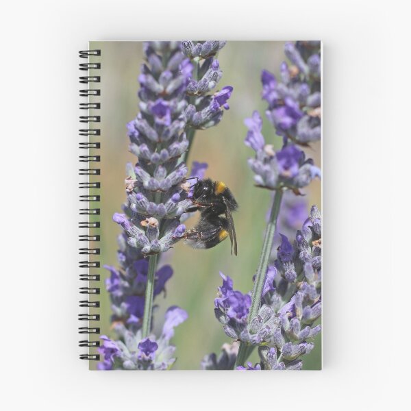 Item preview, Bumblebee On Lavender designed and sold by SweepingShadows.