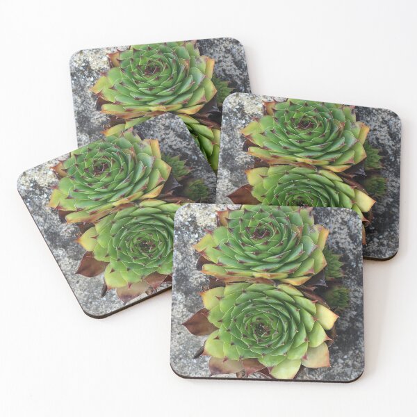 Item preview, Houseleek designed and sold by SweepingShadows.