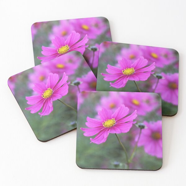 Artikelvorschau, Pink Kosmos Blume entworfen und verkauft von SweepingShadows.