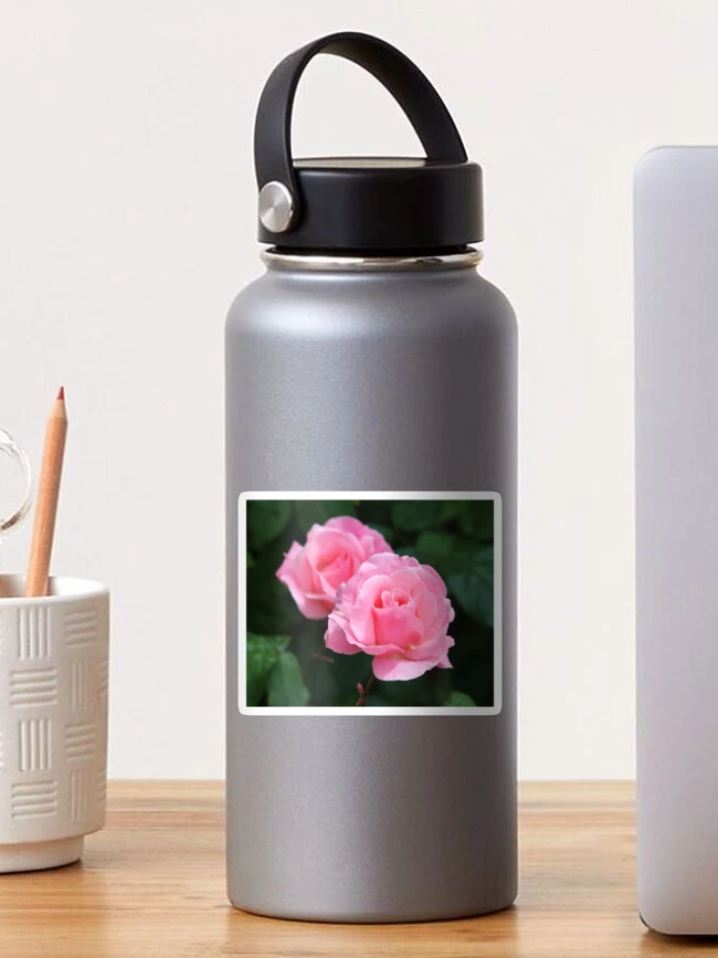 Thumbnail 1 of 3, Sticker, Pink Roses designed and sold by SweepingShadows.