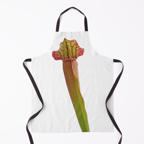 Item preview, American Pitcher Plant (Sarracenia sp) designed and sold by Trent Townsend.