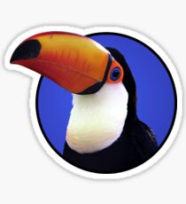 Toco Toucan Sticker