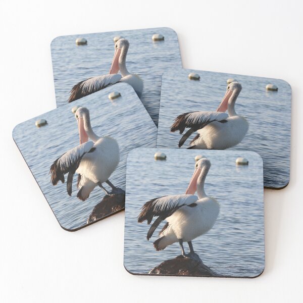 Item preview, Preening Pelican designed and sold by Michaela Perryman.