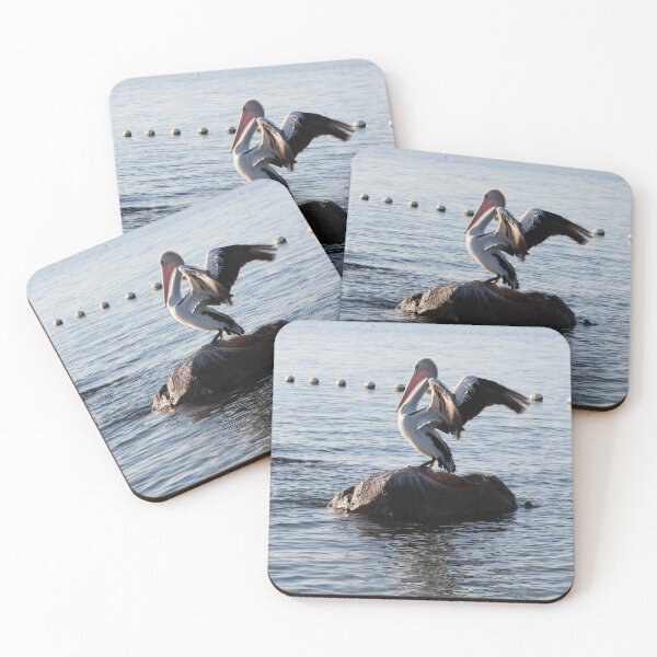 Item preview, Pelecanus conspicillatus designed and sold by Michaela Perryman.