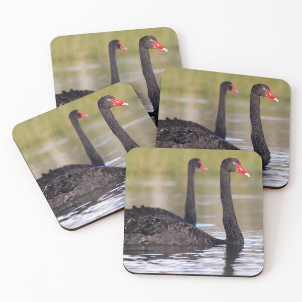 Item preview, Black swan (Cygnus atratus)  designed and sold by Trent Townsend.