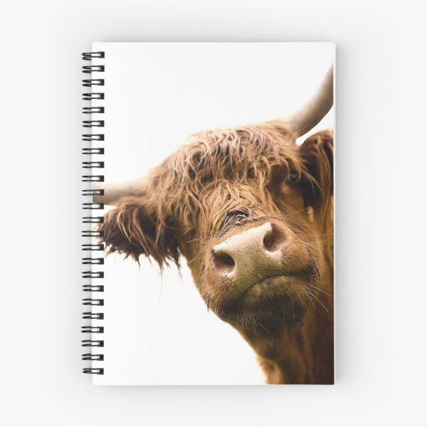 Item preview, Scottish long haired cow Peekaboo designed and sold by ArtbyBodge.
