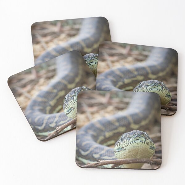 Item preview, Coastal Carpet Python (Morelia spilota mcdowelli) designed and sold by Trent Townsend.