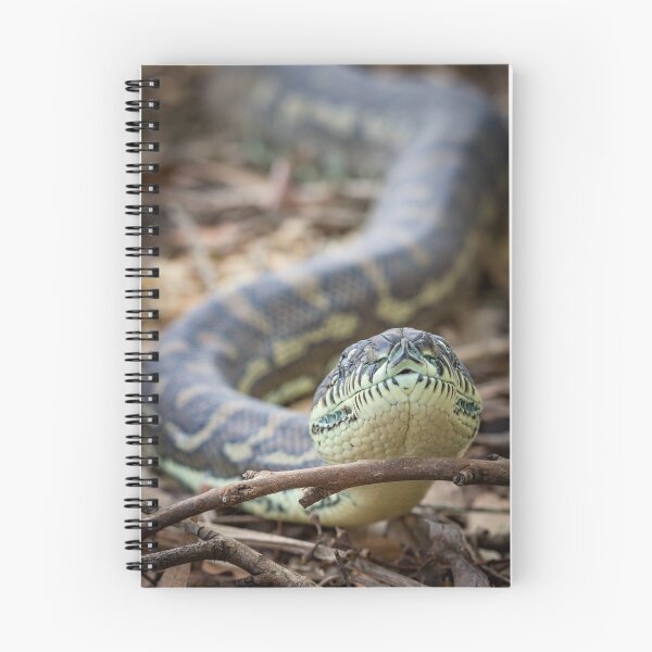 Item preview, Coastal Carpet Python (Morelia spilota mcdowelli) designed and sold by Trent Townsend.