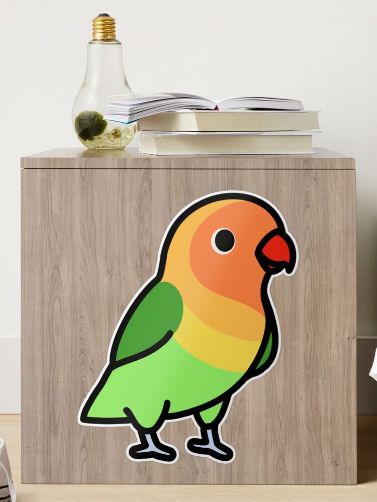 30pcs PET Bird Stickers FNSL