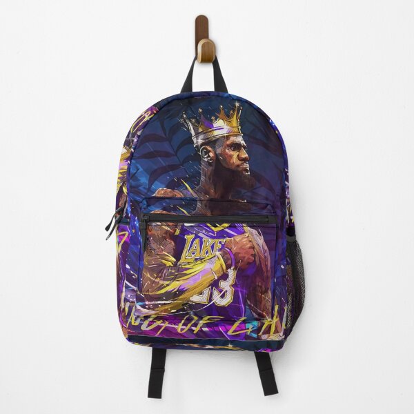 Lebron backpack sale online