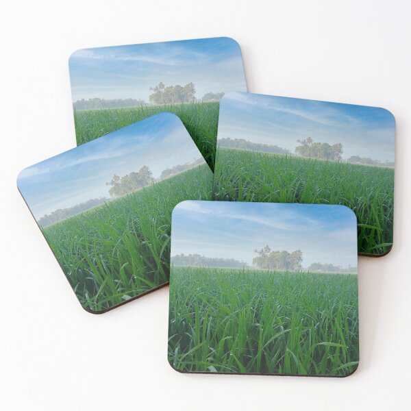 Item preview, Beautiful Paddy Field designed and sold by Topstation.