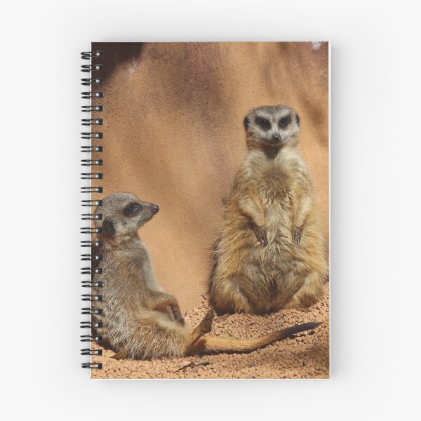 Item preview, Meerkat Audience designed and sold by KaiydoRose.