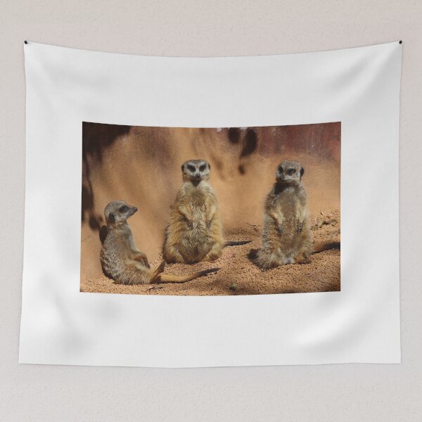 Item preview, Meerkat Audience designed and sold by KaiydoRose.