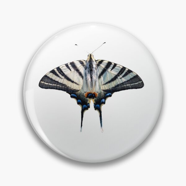 Item preview, Scarce swallowtail butterfly shape designed and sold by pietrofoto.