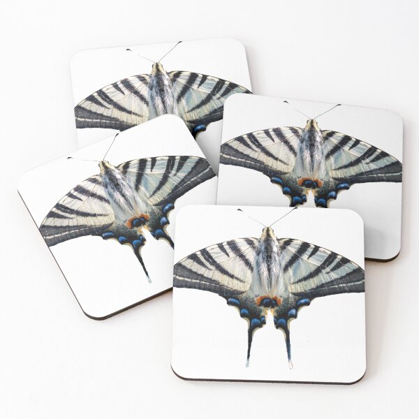 Item preview, Scarce swallowtail butterfly shape designed and sold by pietrofoto.