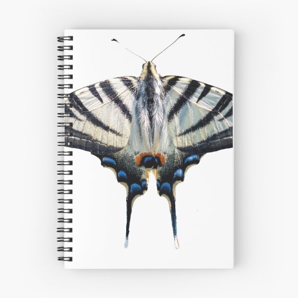Item preview, Scarce swallowtail butterfly shape designed and sold by pietrofoto.