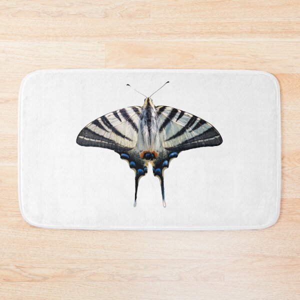 Item preview, Scarce swallowtail butterfly shape designed and sold by pietrofoto.