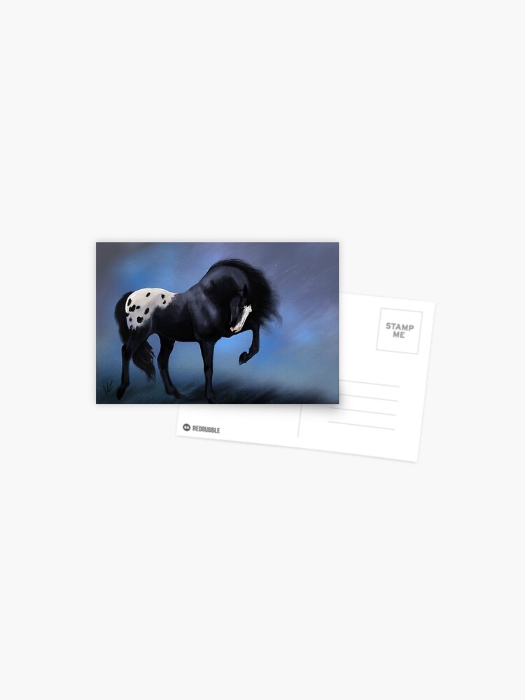Thumbnail 1 of 2, Postcard, Black Spotted Blanket Appaloosa designed and sold by KJL90.