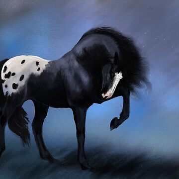 Artwork thumbnail, Black Spotted Blanket Appaloosa by KJL90
