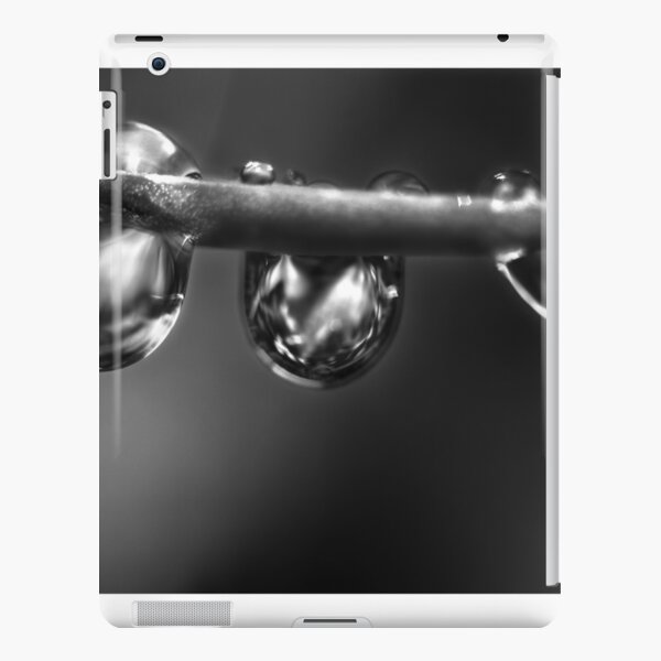 Droplets iPad Snap Case