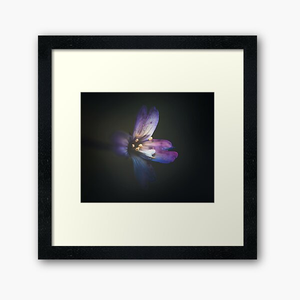 Blinding Framed Art Print