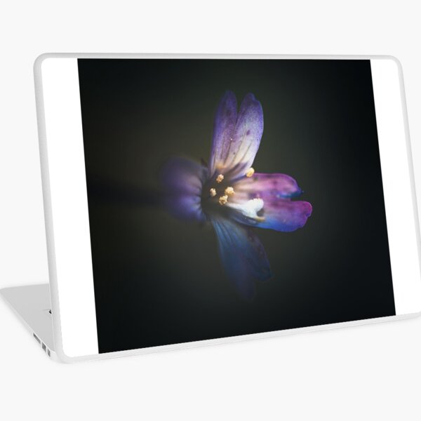 Blinding Laptop Skin