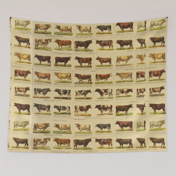 Item preview, World Cow  designed and sold by AimeeVirgina.