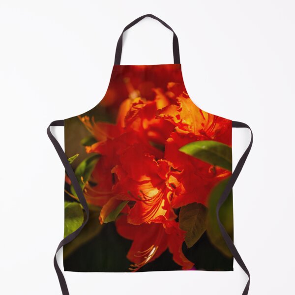 Aperçu de l'œuvre Couleurs magiques du printemps créée et vendue par Dalyndigital Photography.
