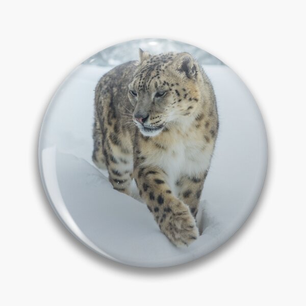 Item preview, Snow leopard in the deep snow designed and sold by Ingo Gerlach.