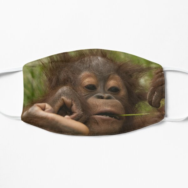 Orangutan Baby Flat Mask