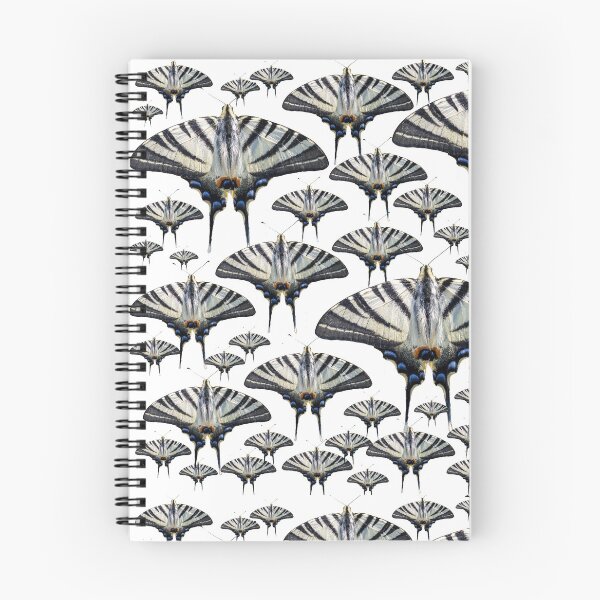 Item preview, Multiple scarce swallowtail butterflies designed and sold by pietrofoto.