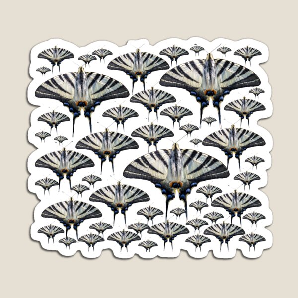 Item preview, Multiple scarce swallowtail butterflies designed and sold by pietrofoto.