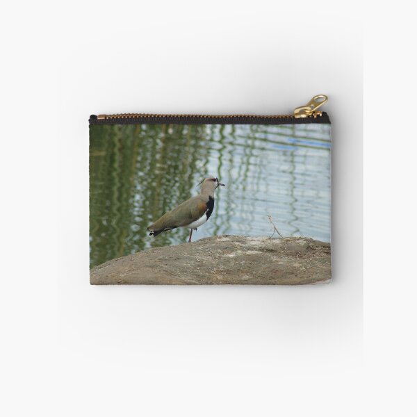 Item preview, Southern Lapwing on a Lake Shore designed and sold by rhamm.