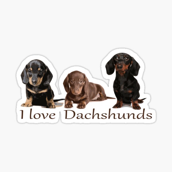 Item preview, I love Dachshunds designed and sold by CharlyB.