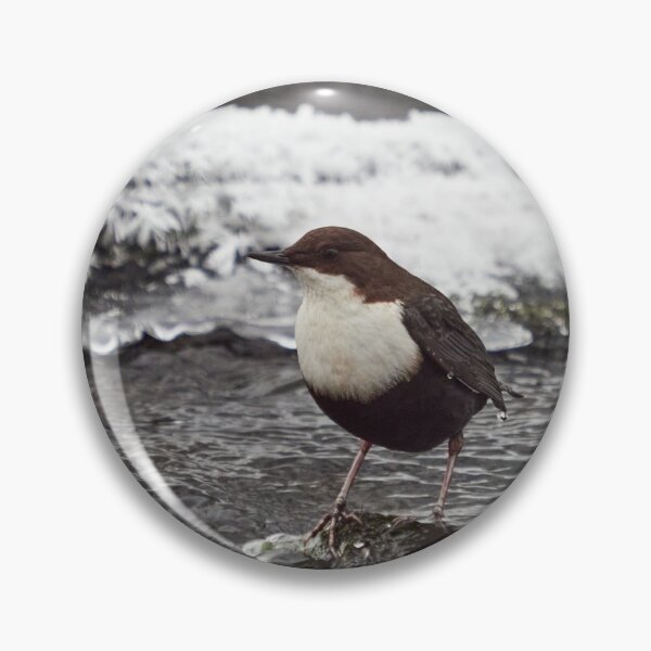 Item preview, Deep thoughts. White-throated dipper designed and sold by Jouko Lehto Photography.