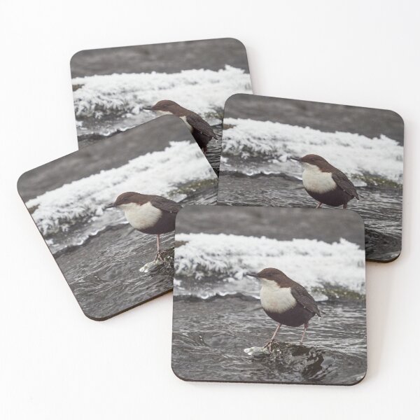 Item preview, Deep thoughts. White-throated dipper designed and sold by Jouko Lehto Photography.