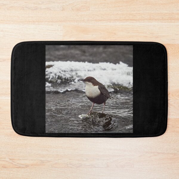Item preview, Deep thoughts. White-throated dipper designed and sold by Jouko Lehto Photography.